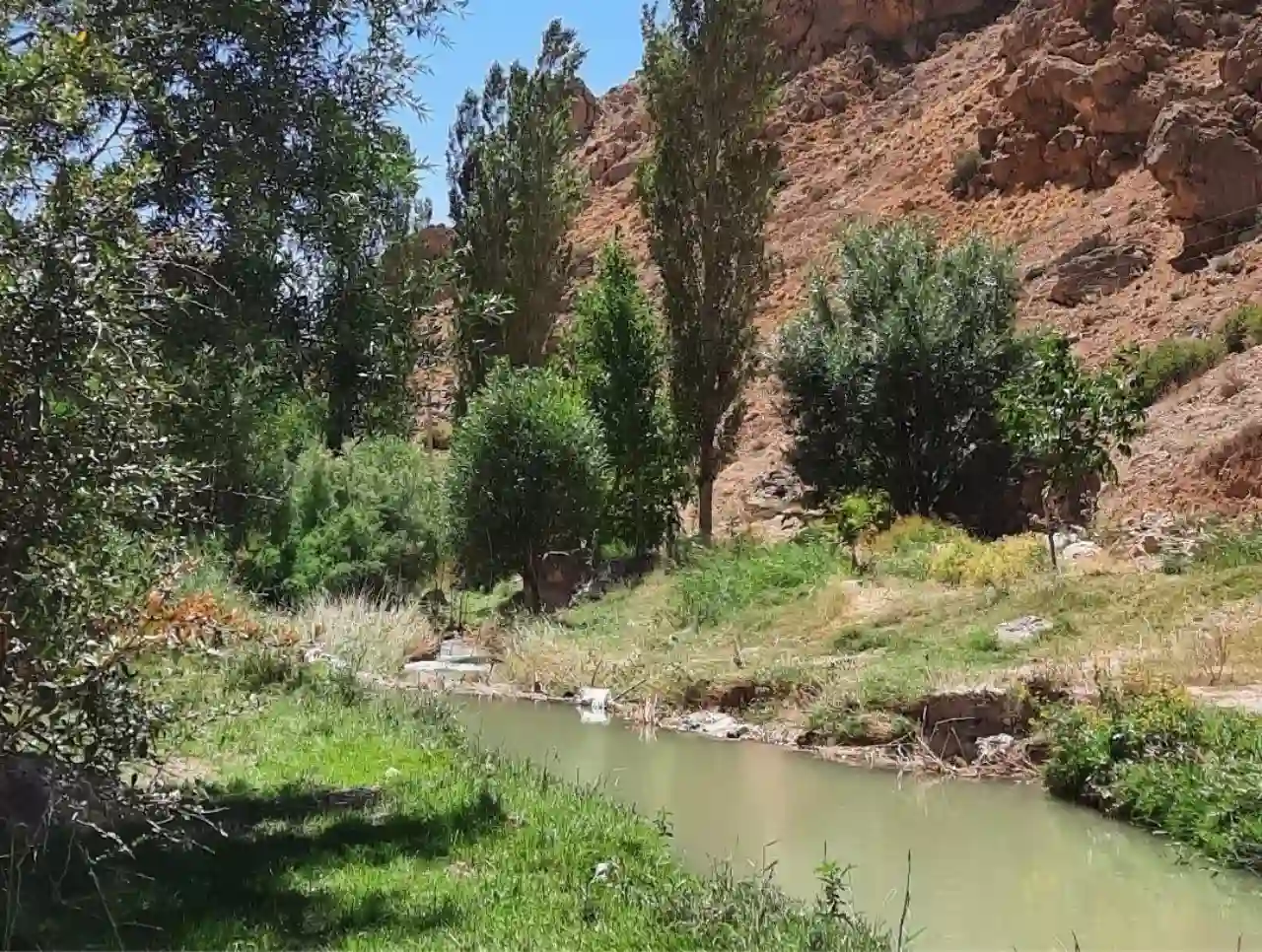 مسیر جنگلی